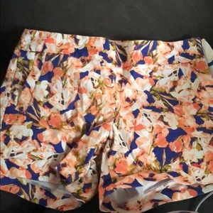 J crew shorts